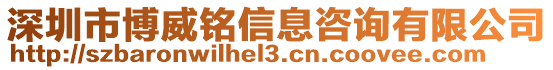 深圳市博威銘信息咨詢有限公司