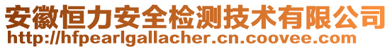 安徽恒力安全檢測(cè)技術(shù)有限公司