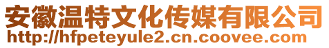 安徽溫特文化傳媒有限公司