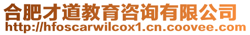 合肥才道教育咨詢有限公司