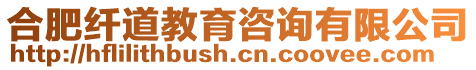 合肥纖道教育咨詢有限公司