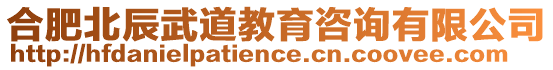合肥北辰武道教育咨詢有限公司