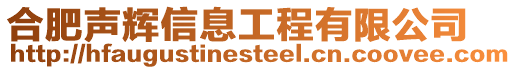 合肥声辉信息工程有限公司