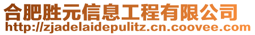 合肥勝元信息工程有限公司