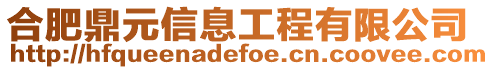 合肥鼎元信息工程有限公司