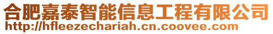 合肥嘉泰智能信息工程有限公司
