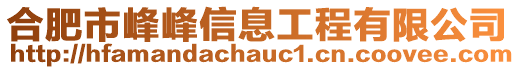 合肥市峰峰信息工程有限公司