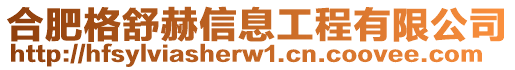 合肥格舒赫信息工程有限公司