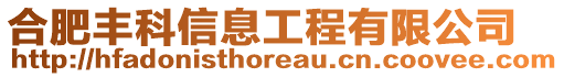 合肥豐科信息工程有限公司