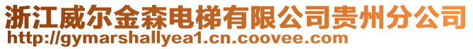 浙江威爾金森電梯有限公司貴州分公司