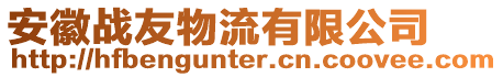 安徽戰(zhàn)友物流有限公司