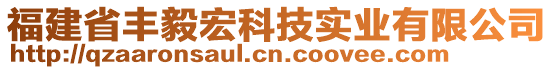 福建省豐毅宏科技實(shí)業(yè)有限公司