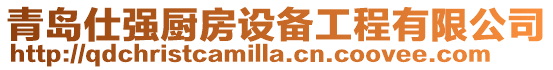 青島仕強廚房設備工程有限公司