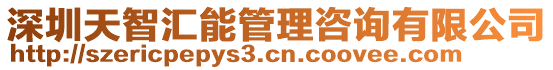 深圳天智匯能管理咨詢有限公司