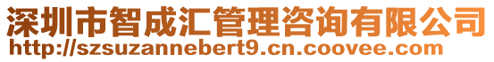 深圳市智成匯管理咨詢有限公司