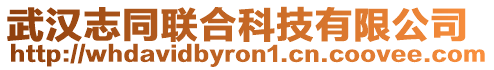 武漢志同聯合科技有限公司