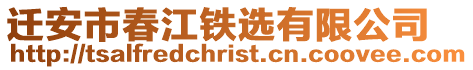遷安市春江鐵選有限公司