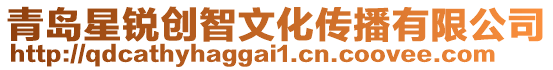 青島星銳創智文化傳播有限公司