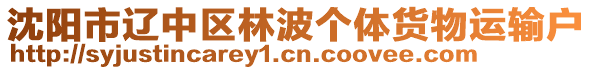 沈陽市遼中區(qū)林波個(gè)體貨物運(yùn)輸戶