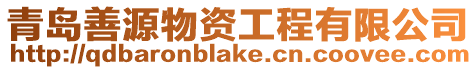 青島善源物資工程有限公司