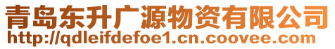 青島東升廣源物資有限公司