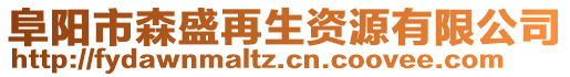 阜陽市森盛再生資源有限公司