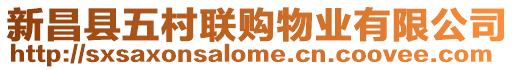 新昌縣五村聯購物業有限公司