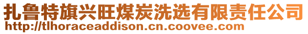 扎魯特旗興旺煤炭洗選有限責(zé)任公司