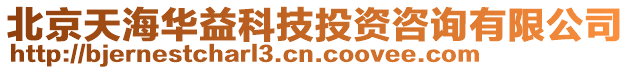 北京天海華益科技投資咨詢(xún)有限公司