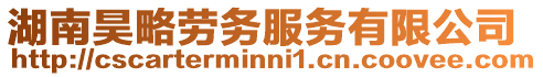 湖南昊略勞務服務有限公司
