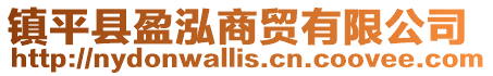 鎮(zhèn)平縣盈泓商貿(mào)有限公司