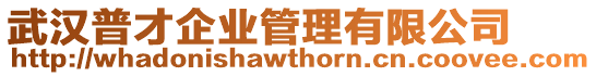 武漢普才企業管理有限公司