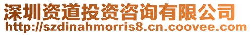 深圳資道投資咨詢有限公司