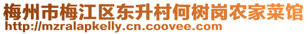 梅州市梅江區東升村何樹崗農家菜館