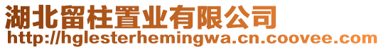 湖北留柱置業(yè)有限公司