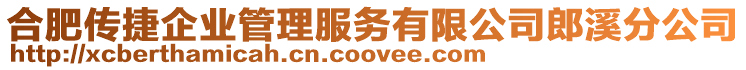 合肥傳捷企業管理服務有限公司郎溪分公司