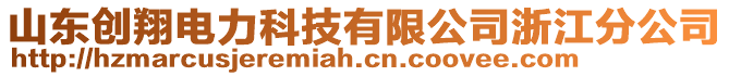 山東創翔電力科技有限公司浙江分公司