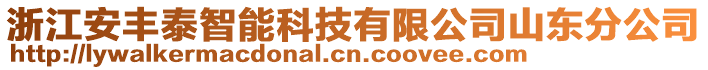 浙江安豐泰智能科技有限公司山東分公司