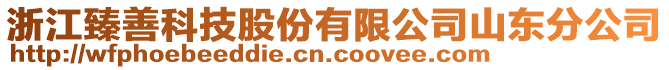 浙江臻善科技股份有限公司山東分公司