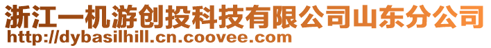 浙江一機游創投科技有限公司山東分公司