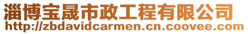 淄博寶晟市政工程有限公司