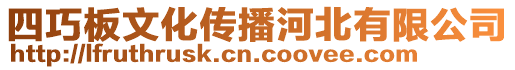 四巧板文化傳播河北有限公司