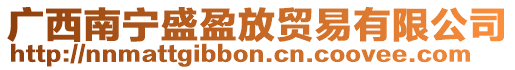 廣西南寧盛盈放貿易有限公司