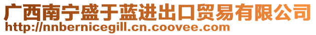 廣西南寧盛于藍(lán)進(jìn)出口貿(mào)易有限公司