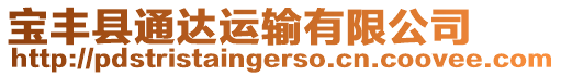 寶豐縣通達(dá)運(yùn)輸有限公司