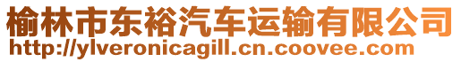 榆林市東裕汽車運輸有限公司