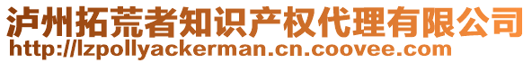 瀘州拓荒者知識(shí)產(chǎn)權(quán)代理有限公司