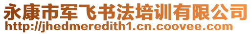 永康市軍飛書法培訓(xùn)有限公司