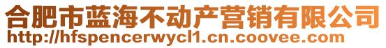 合肥市藍(lán)海不動(dòng)產(chǎn)營(yíng)銷(xiāo)有限公司