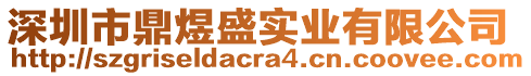 深圳市鼎煜盛實(shí)業(yè)有限公司